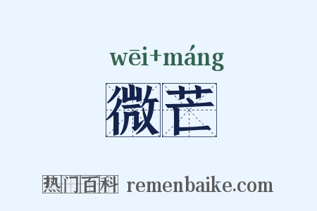 微芒是什么意思的图片